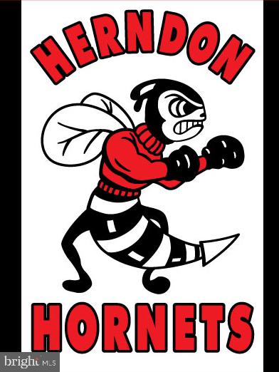 12110 North Walnut Branch Road Reston, VA 20194 - Photo 57 of 58 Herndon HS Hornets!