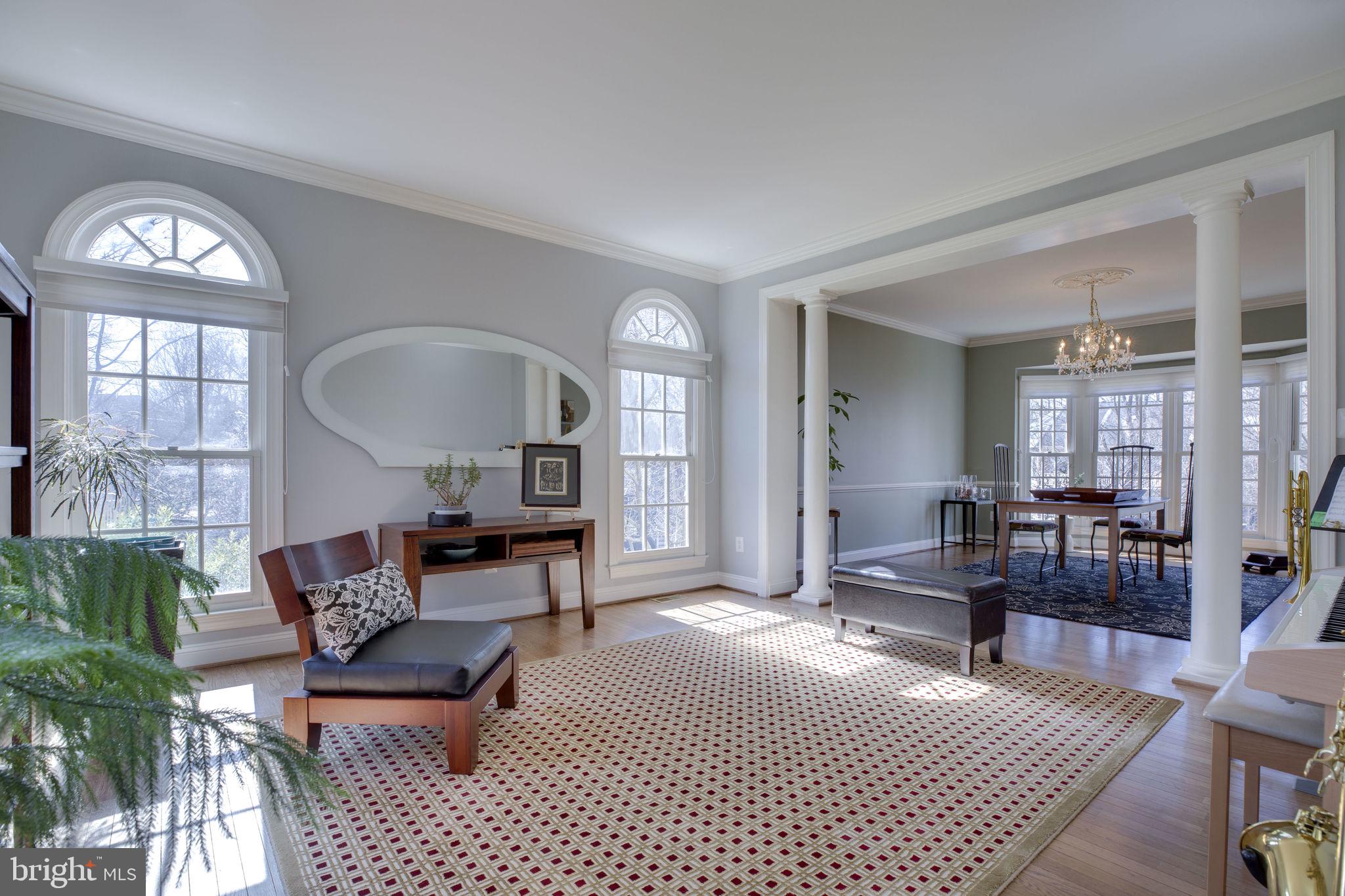 12110 North Walnut Branch Road Reston, VA 20194 - Photo 7 of 58 Living Room-So Many Windows to let the Sun Shine