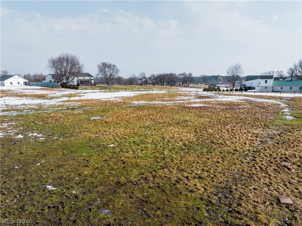 16350 Nauvoo Road Middlefield, OH 44062 - Photo 3 of 50 View of yard