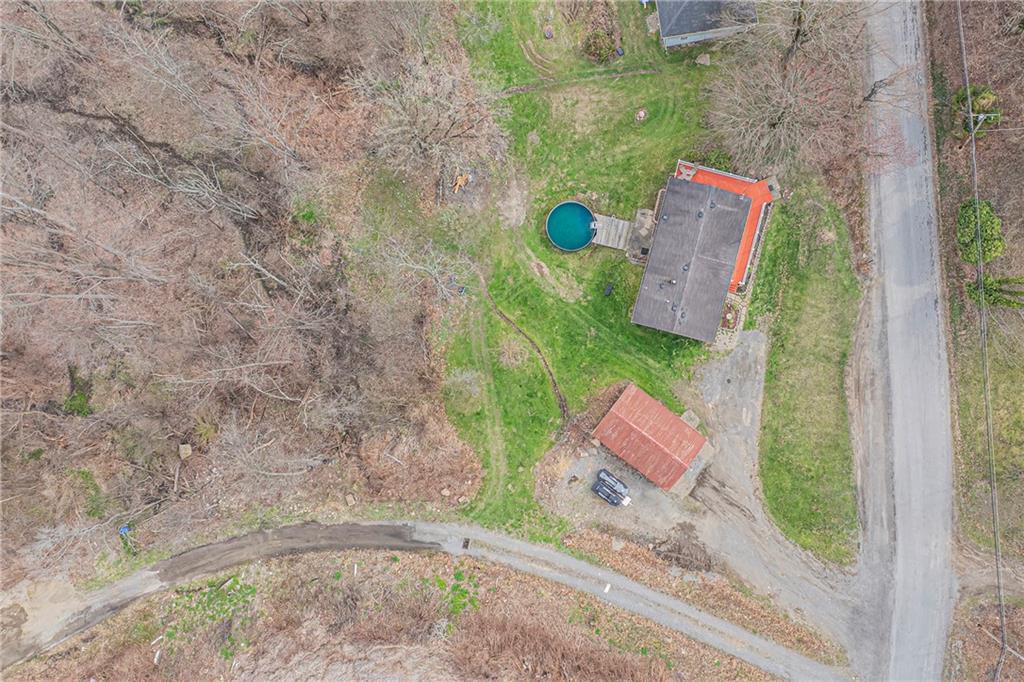 204 Hollowvue Road Wampum, PA 16157 - Photo 34 of 39 a picture of a tree with a yard