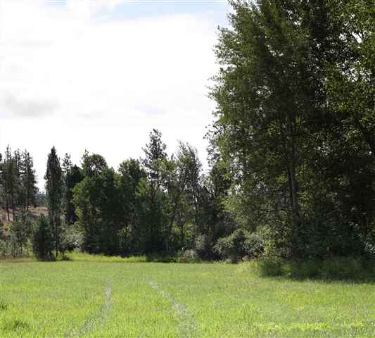 19609 South Spangle Creek Road Spangle, WA 99031 - Photo 3 of 6