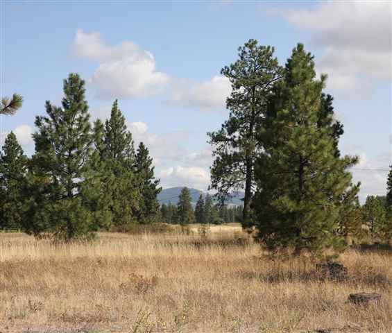 19609 South Spangle Creek Road Spangle, WA 99031 - Photo 4 of 6