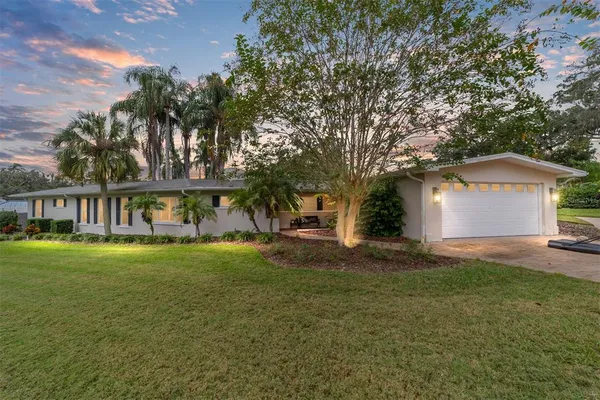 a view of a livingroom with wooden floor and a potted plant