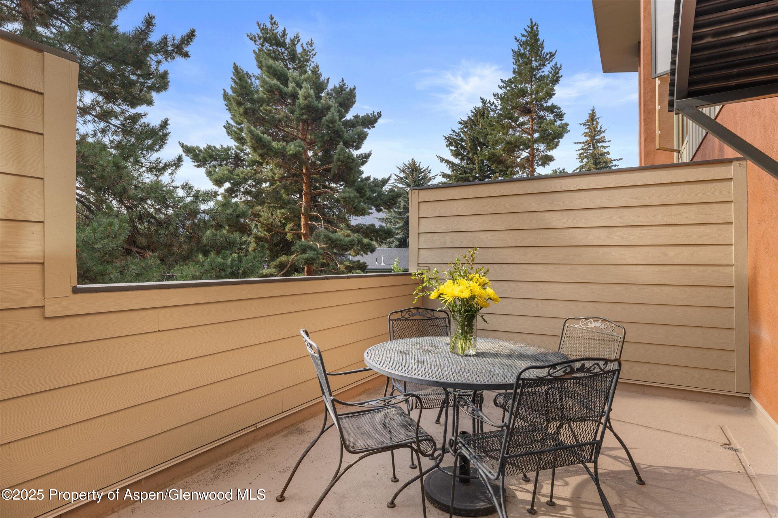 100 Midland Avenue, Unit 106 Basalt, CO 81621 - Photo 6 of 14 Private Deck