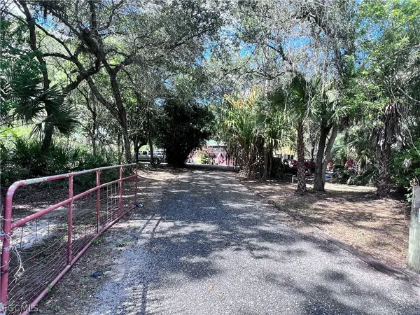 a view of a backyard with large trees
