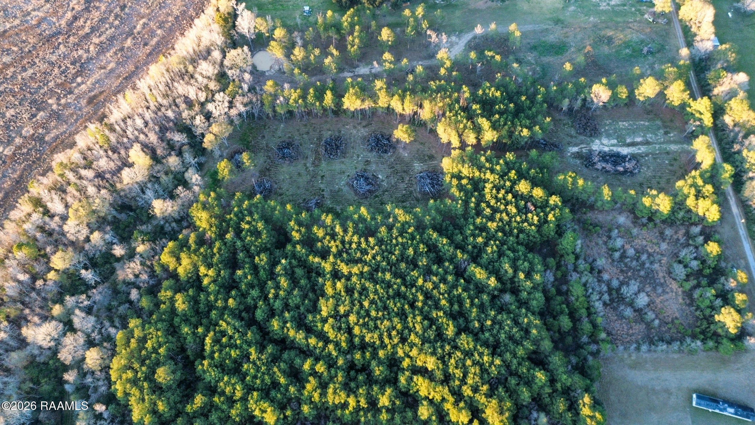 0 Don Jennings, LA 70546 - Photo 8 of 12 pic 5