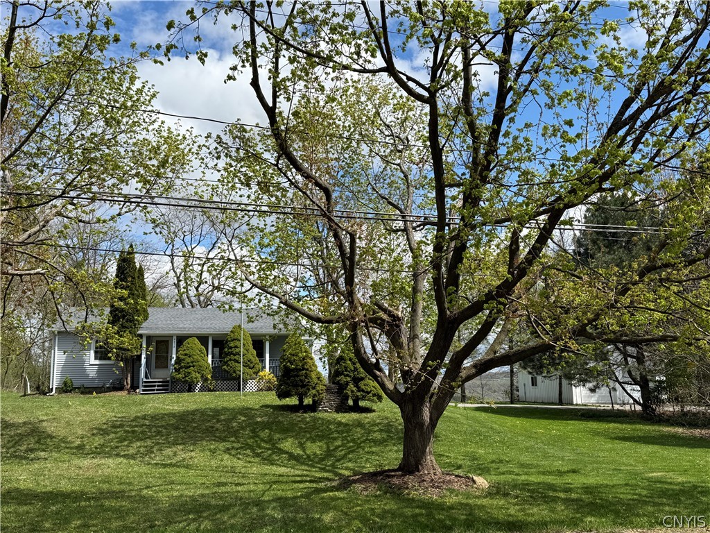 4454 Limeledge Road Marcellus, NY 13108 - Photo 2 of 24