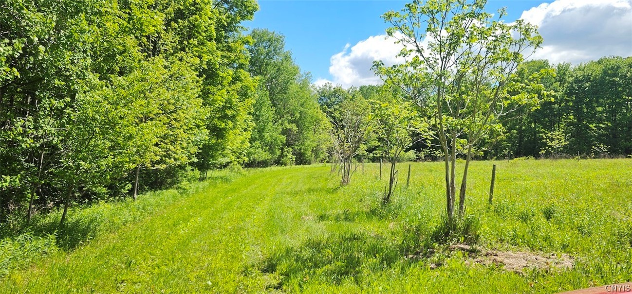 Sprouls Road Cortland, NY 13045 - Photo 22 of 48