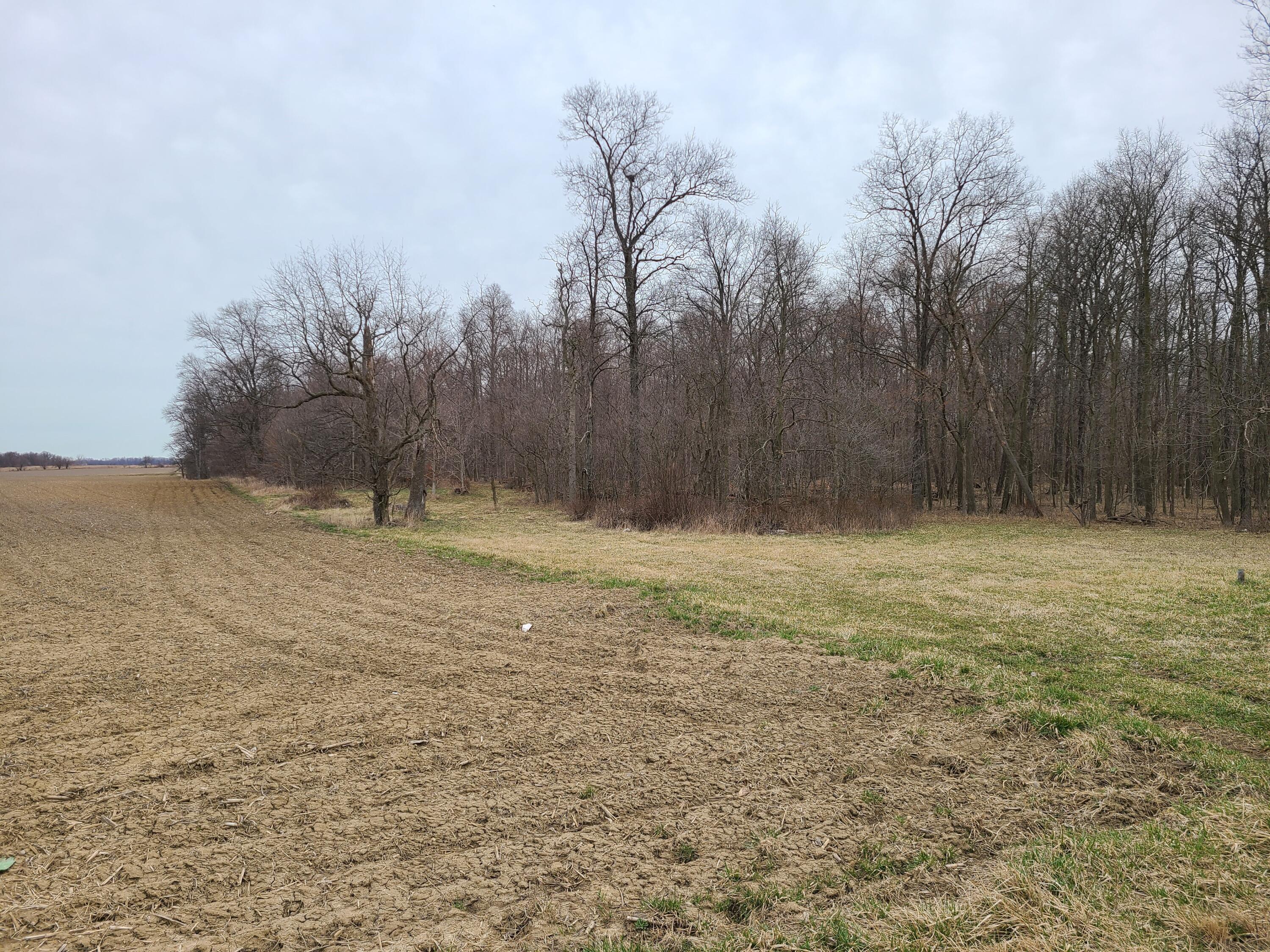0 State Road Lakeview, OH 43331 - Photo 4 of 4