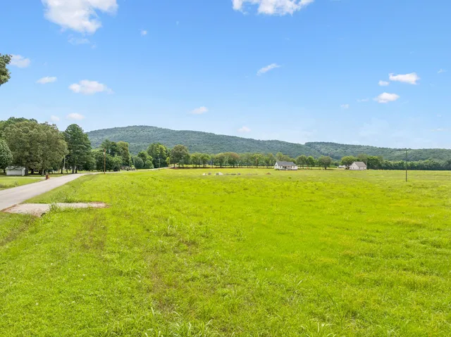 a view of a lake with a city