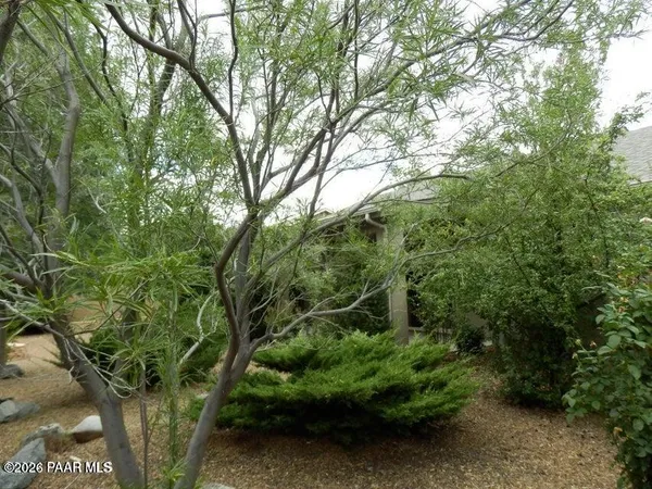 a view of a yard with plants and large trees