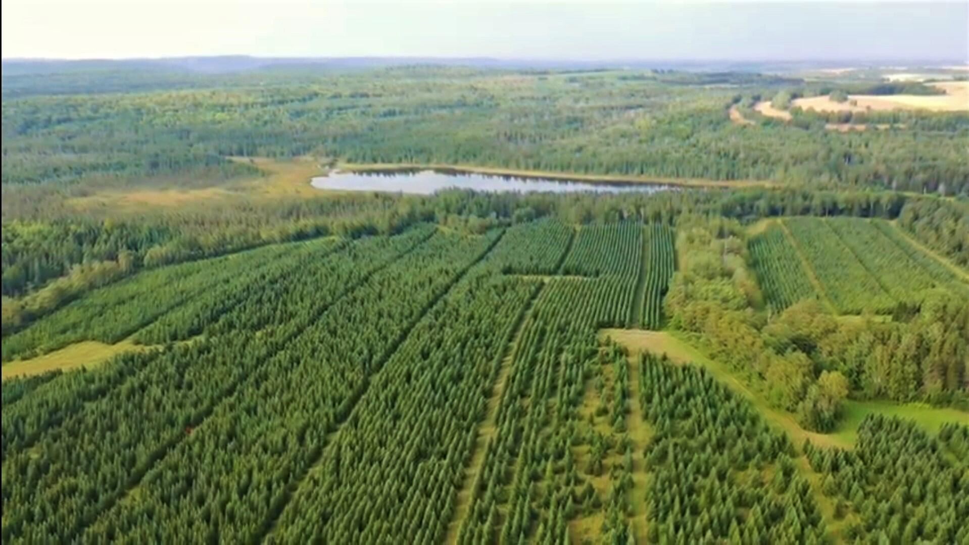 Map38-lot3 Doucette Road Grand Isle, ME 04746 - Photo 4 of 25 Screenshot_20210816-220431_YouTube