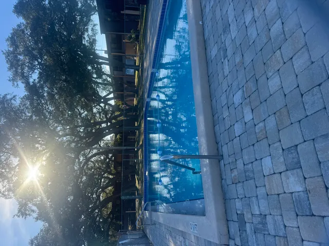 a picture of a tree in a backyard