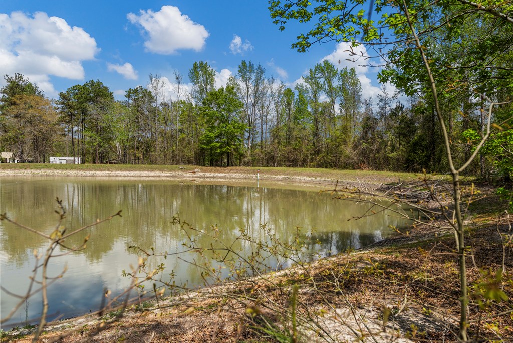 42 Maringo Creek Road Opelika, AL 36804 - Photo 37 of 44