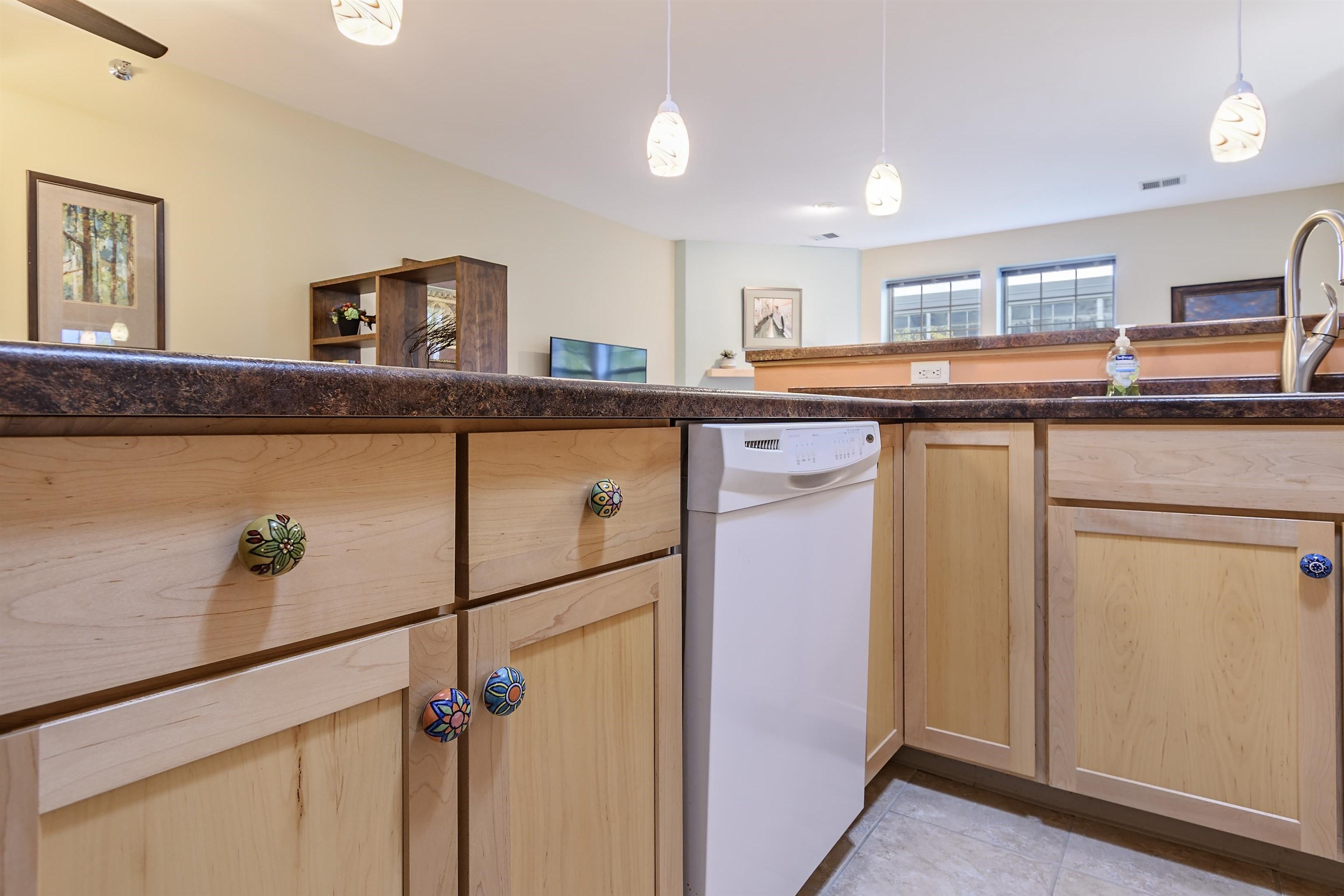 201 East Lane Street, Unit 202 Sun Prairie, WI 53590 - Photo 23 of 56