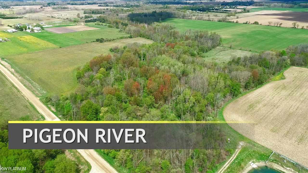 0 Rescue Road Owendale, MI 48754 - Photo 10 of 20