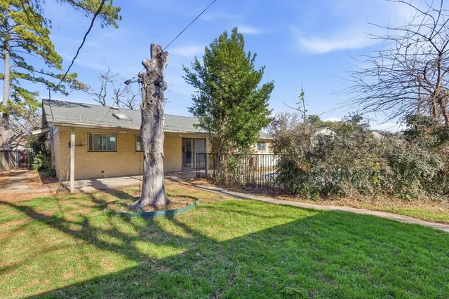 a view of a yard with plants and trees