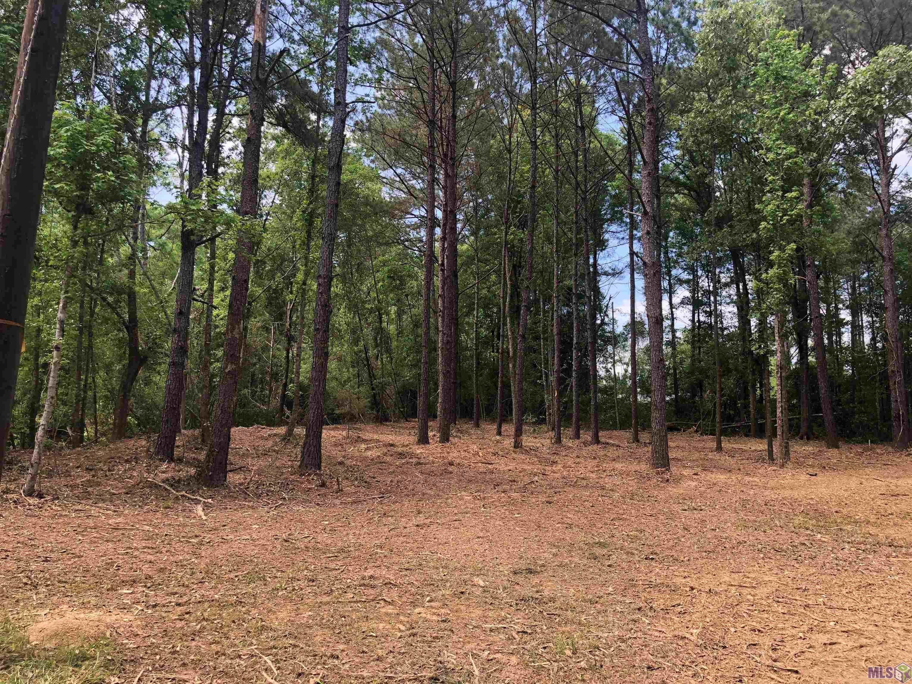 Tbd Hatfield Lane Jackson, LA 70748 - Photo 2 of 6
