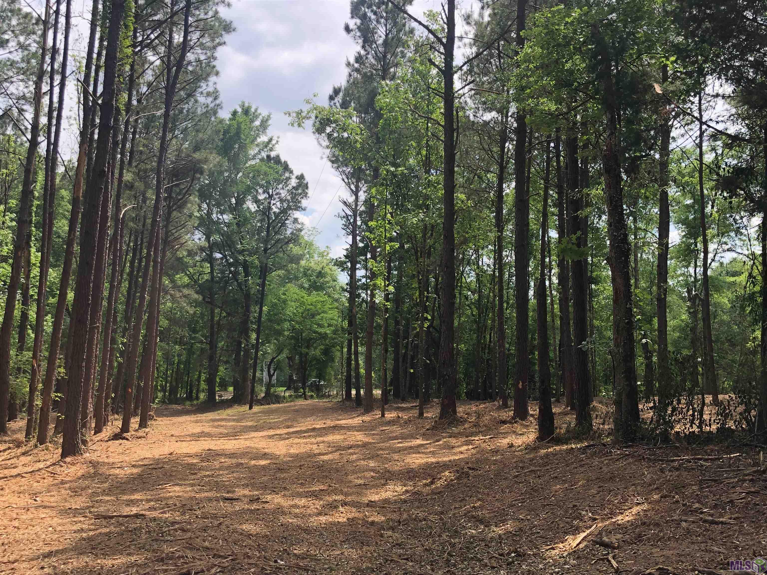 Tbd Hatfield Lane Jackson, LA 70748 - Photo 3 of 6