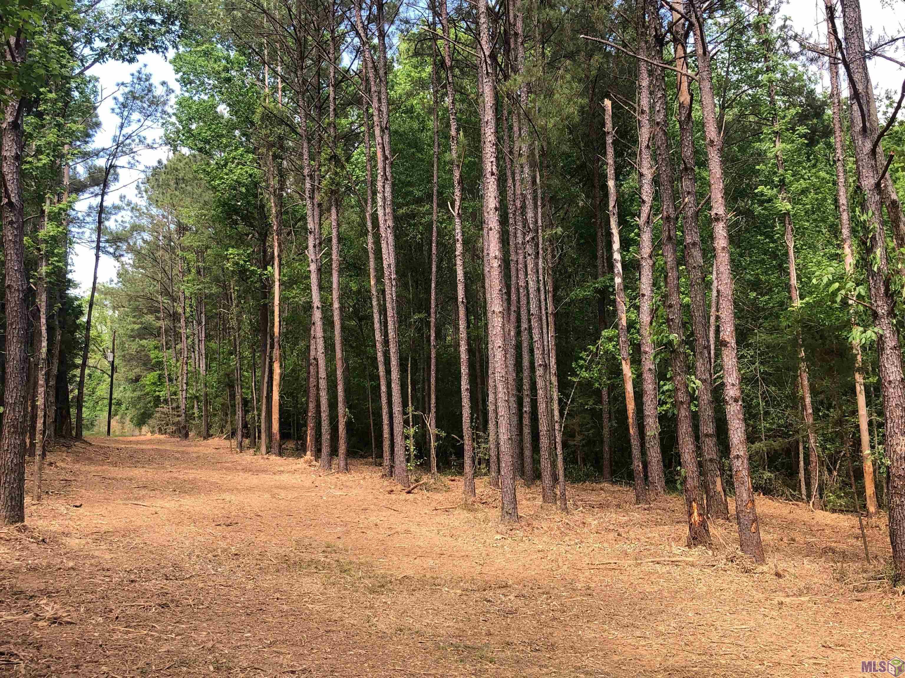 Tbd Hatfield Lane Jackson, LA 70748 - Photo 4 of 6