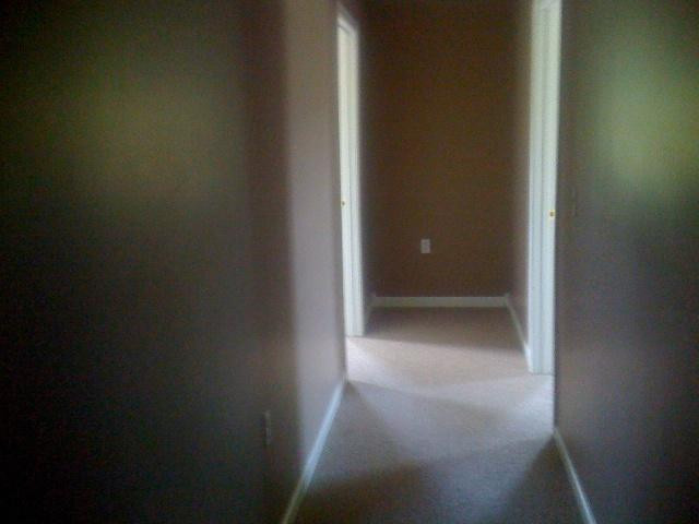 229 Wicker Road Russell Springs, KY 42642 - Photo 4 of 13 Photo 4