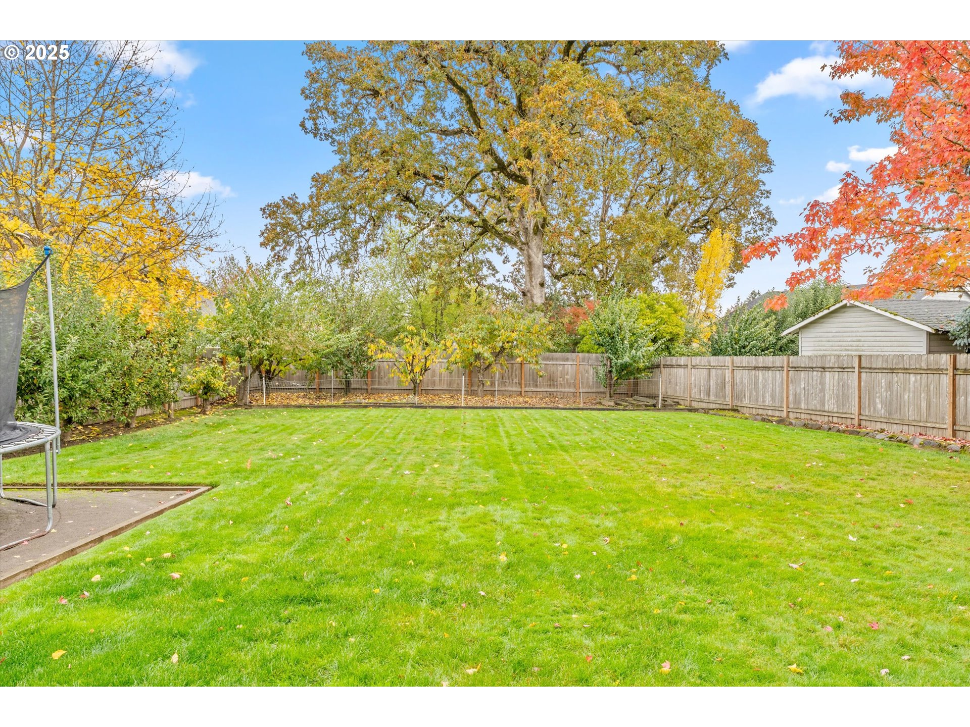 3019 Brooke Street Forest Grove, OR 97116 - Photo 25 of 34 a view of yard with green space and wooden fence