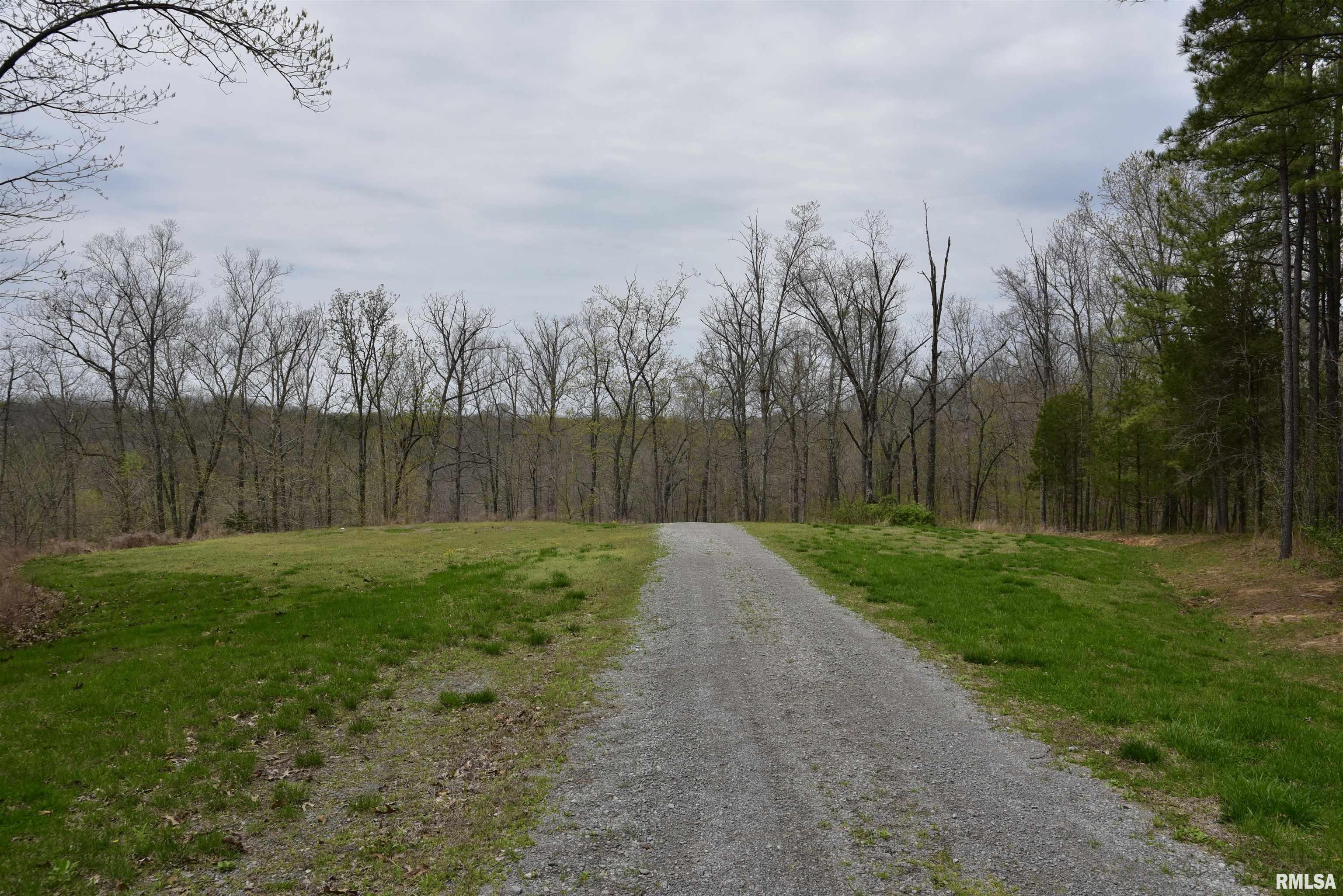 0 Parrish Ridge Lane Goreville, IL 62939 - Photo 4 of 26