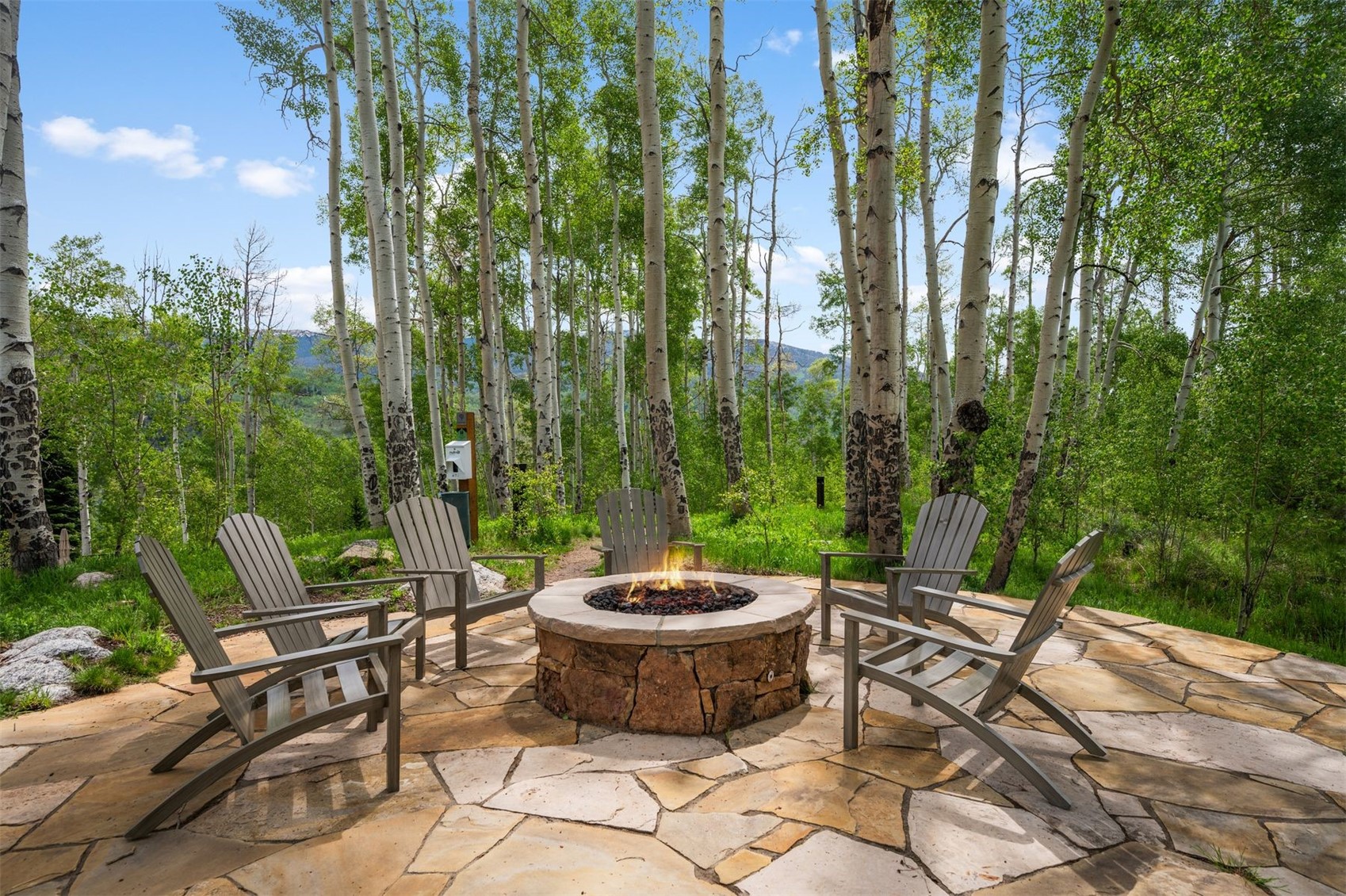 20 East Benjamin Point Silverthorne, CO 80498 - Photo 45 of 50 Aspen House