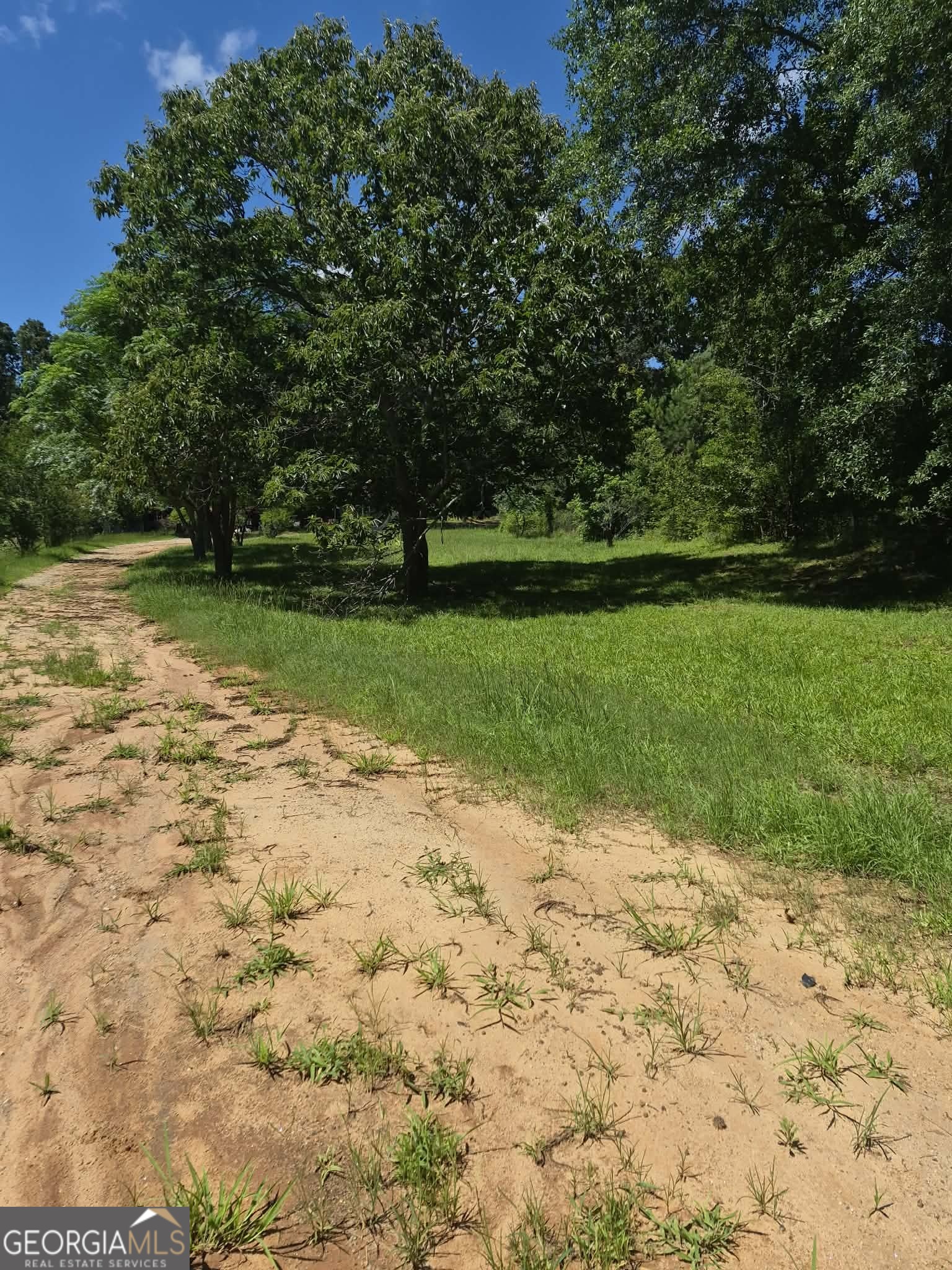 0 Lebanon Church Road Jefferson, GA 30549 - Photo 5 of 29