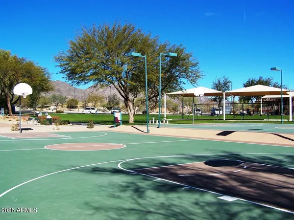 a view of a park with large trees