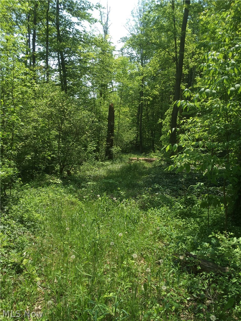 0 Fowlers Mill Road Chardon, OH 44024 - Photo 1 of 18 Gallery Image 1