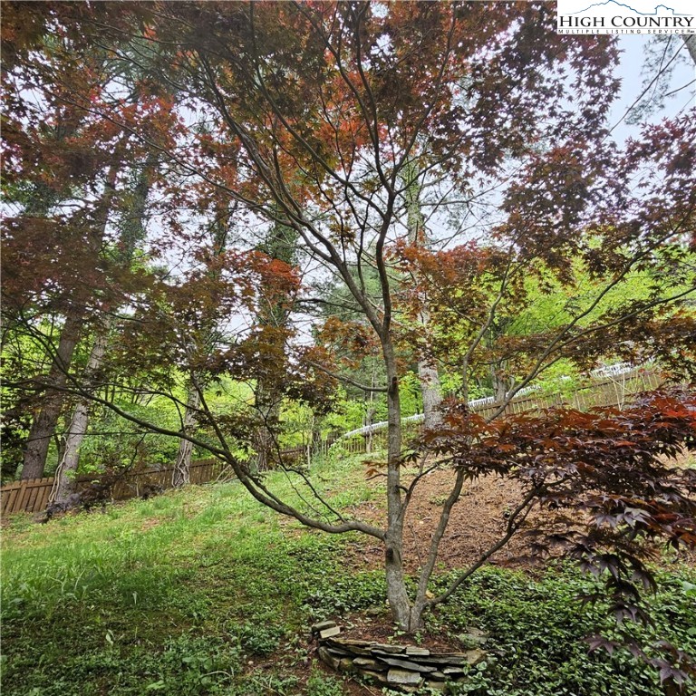 139 Charles Street Boone, NC 28607 - Photo 47 of 49 a backyard of a house with lots of green space