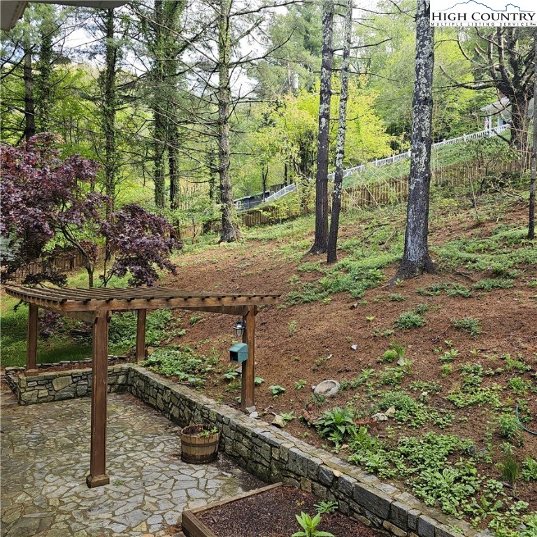 139 Charles Street Boone, NC 28607 - Photo 48 of 49 a view of a yard with plants and trees
