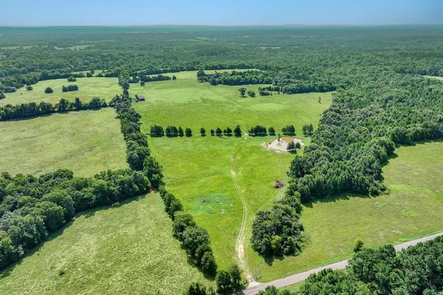 a view of a lush green space with lots of trees