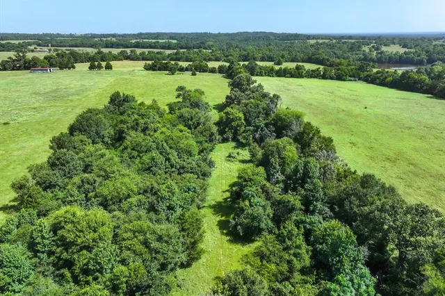 a view of a lush green field