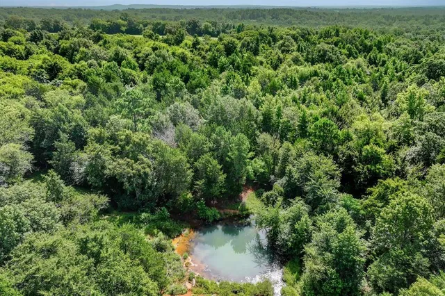 a view of a lake with a city view