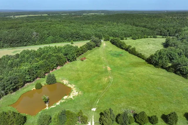 a view of a field with an ocean