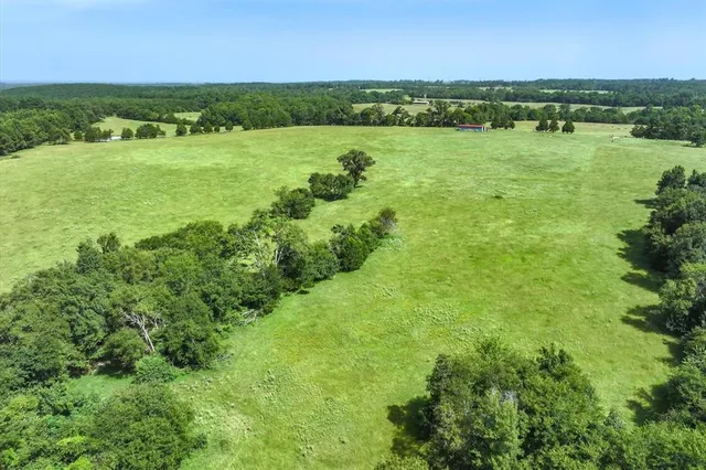 a view of a green field with lots of green space