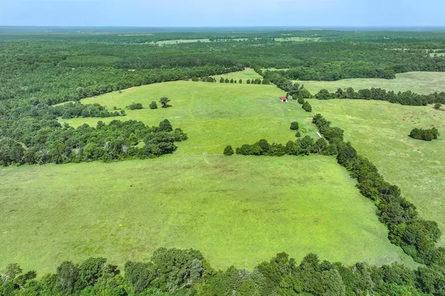 a view of a green field with lots of green space