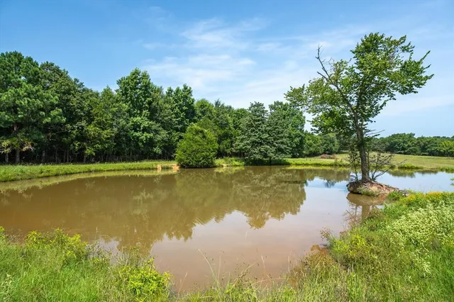 a view of a lake with a yard