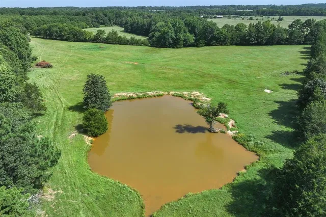 a view of a trees with a yard