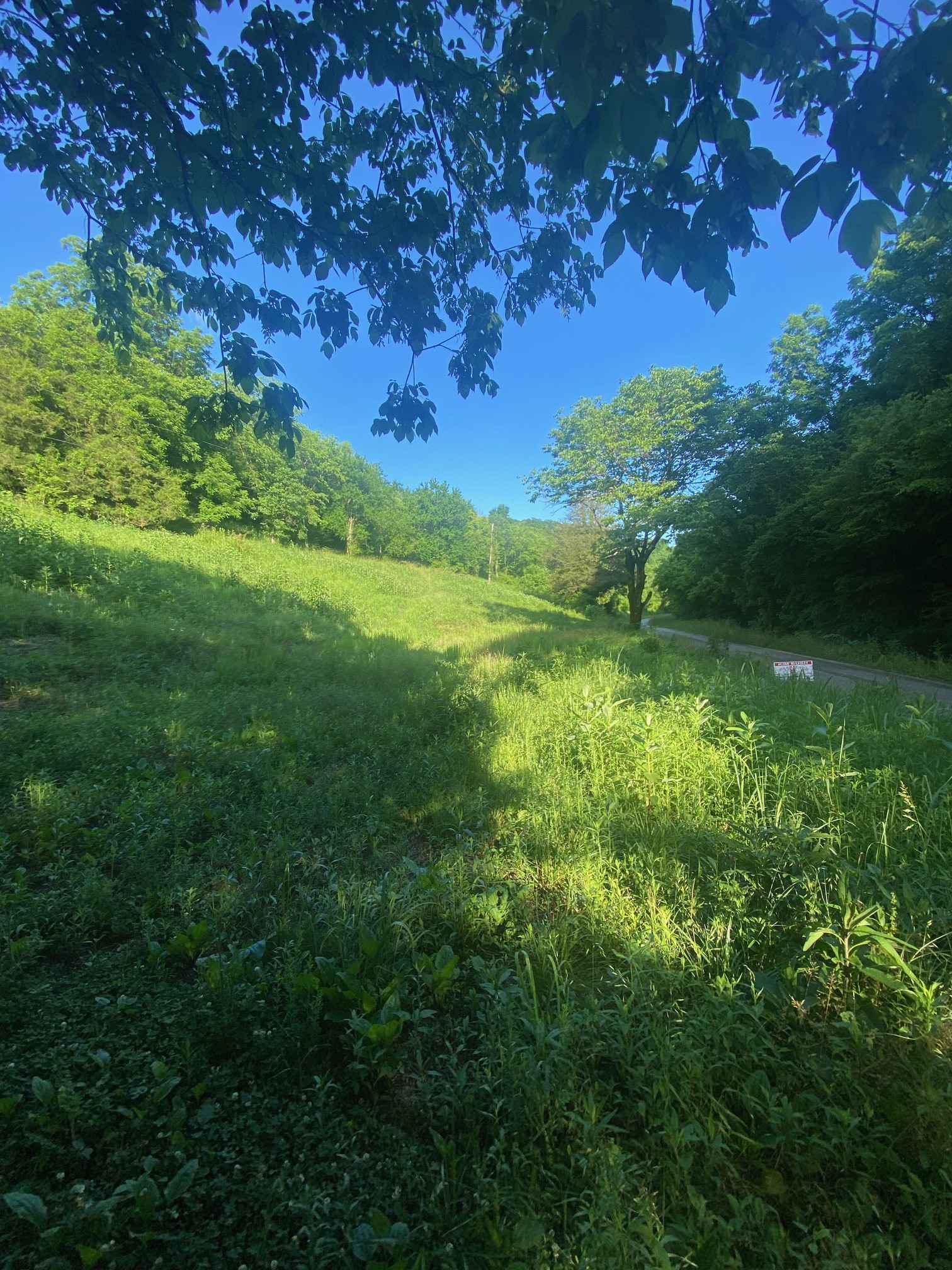 0 Dog Br Road South Pleasant Shade, TN 37145 - Photo 5 of 11 Gallery Image 5