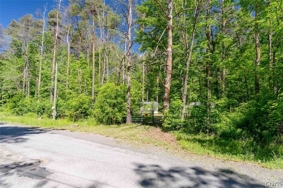 8804 Becker Road Springwater, NY 14572 - Photo 23 of 34