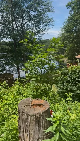 $200,000 | 17 Shore Drive, Spencer, MA 01562