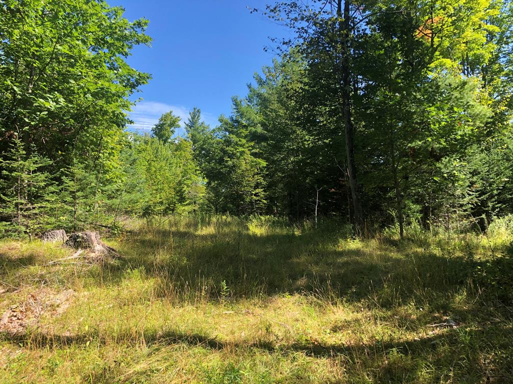 0 Stickney Bridge Road Jay, NY 12941 - Photo 8 of 38 Gallery Image 8