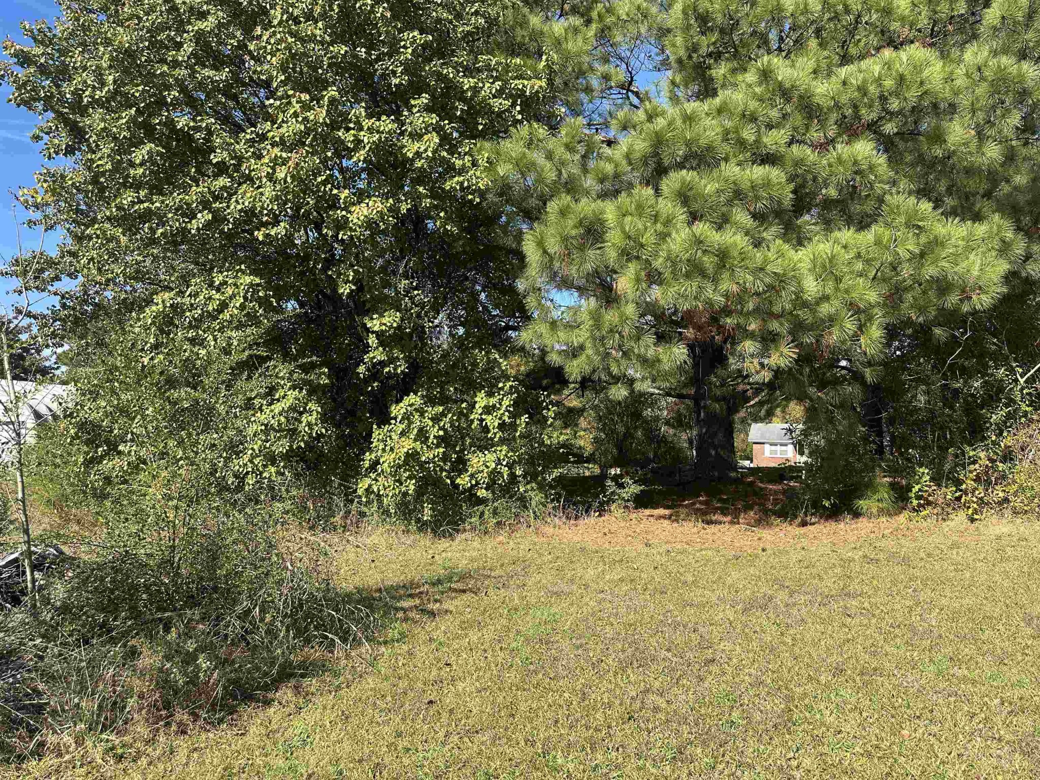 2645 Highway 64 Crump, TN 38310 - Photo 14 of 23 a view of snow covered with trees