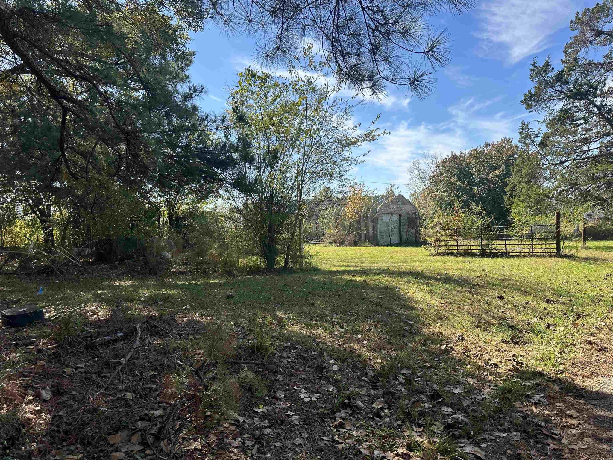 2645 Highway 64 Crump, TN 38310 - Photo 16 of 23 a view of yard with green space