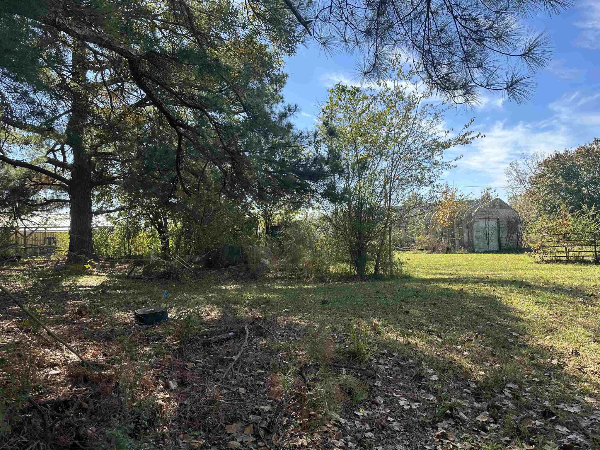 2645 Highway 64 Crump, TN 38310 - Photo 17 of 23 a view of a yard with trees