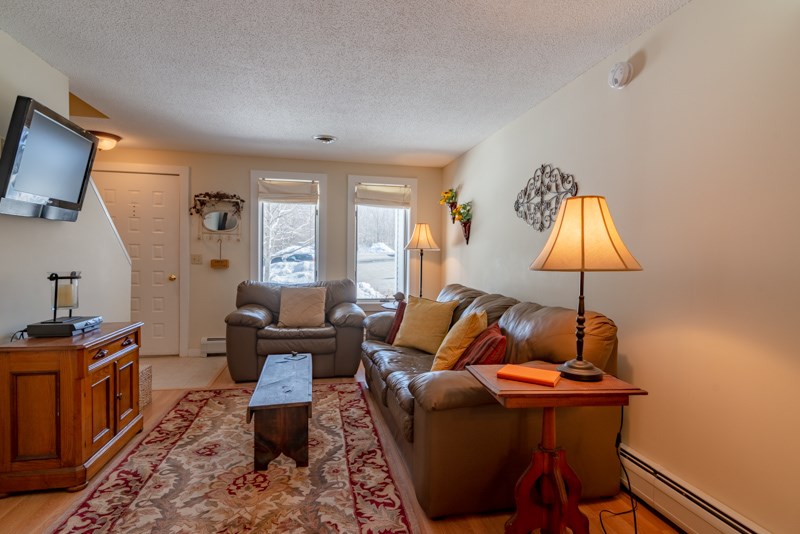 6757 Bourn Brook Road, Unit 57 Manchester Center, VT 05255 - Photo 3 of 8