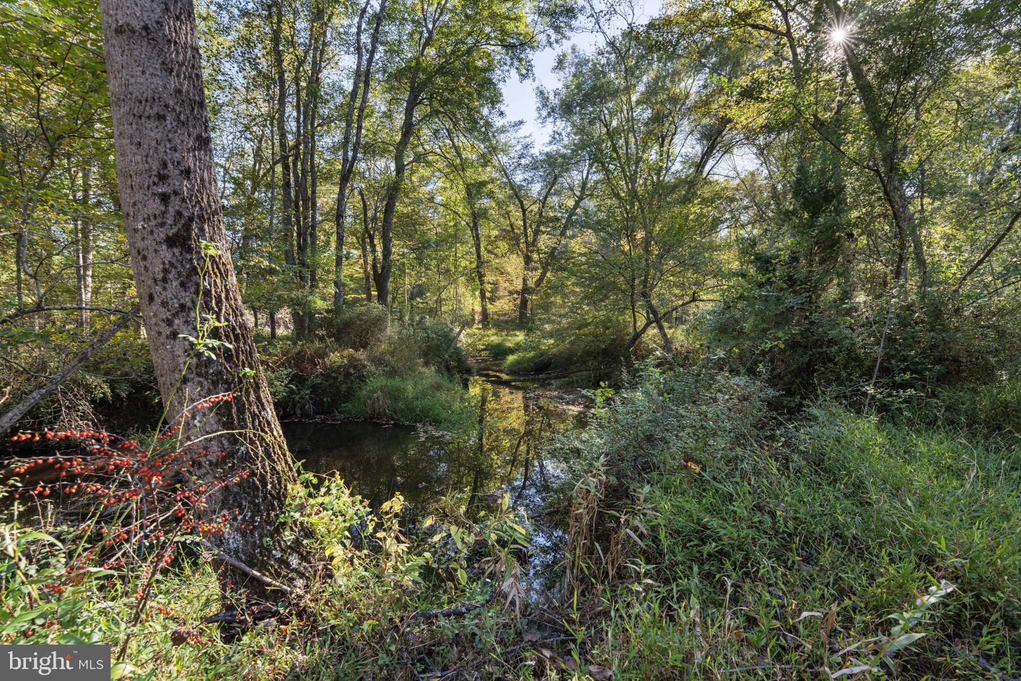 11561 Stuart Mill Road Oakton, VA 22124 - Photo 73 of 76 a backyard of a house with lots of green space and chair
